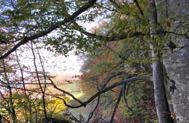 Ferienhaus Malterlehen - Foto 35