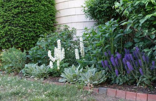 Charming Harvard Victorian - Foto 33