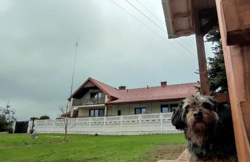 Agroturystyka Kobylnica nad Wisłą - Foto 50
