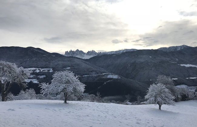Agriturismo Gfaderhof Ferienwohnungen - Foto 17