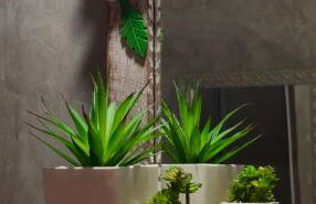 Hospedaria Canto Itaúnas - Foto 28