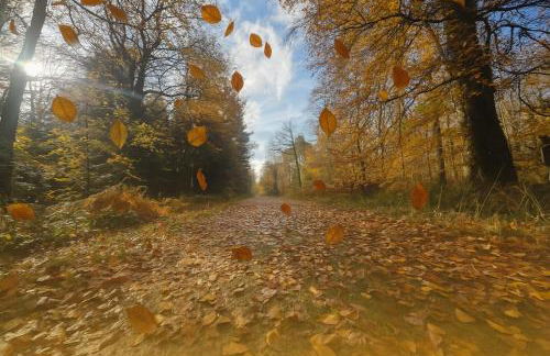 La parenthèse Normande- Balnéo - Vidéo projecteur - Foto 38