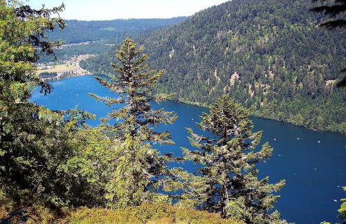 Les Joyeux randonneurs - Foto 15