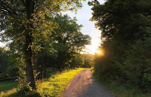 Ferienhaus NettersHäuschen in Nettersheim, Eifel - Photo 31