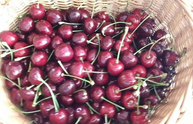 Ferienhof Stärk - Foto 21