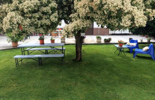 Casa de Férias MariCeu Mirandela - Foto 25