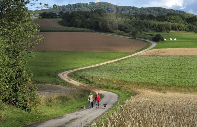 Holiday Apartment Sunflower - Foto 13