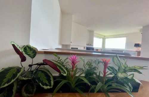 Casa CAPONETTI - Photo 19