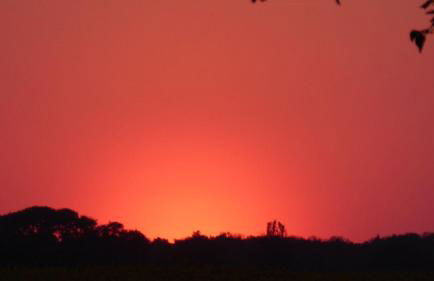 Gut-Rattelvitz-Parterre-A-hochwertig-Sauna-Kamin-eTankstelle-Spielscheune-15-000qm-Parkland - Foto 69