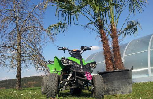 Ferienhaus Regina - Foto 14