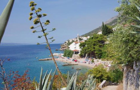 Apartments Olga & Jure - Foto 52