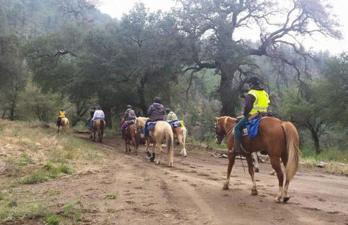 Harrison Serenity Ranch - Groups over 50 - Foto 11