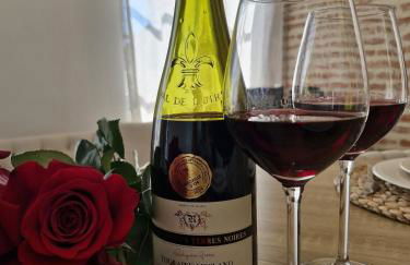 L'audacieuse-Jacuzzi et sauna , miroir suspendu - Foto 56