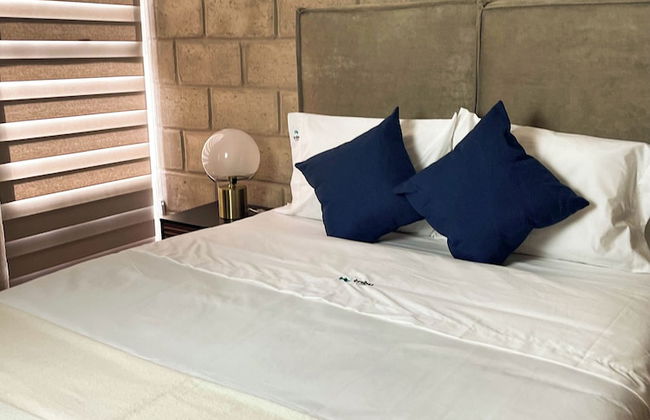 Tribu Centro Histórico - Foto 57