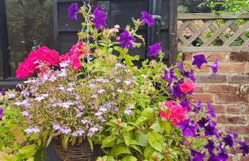 Lilys Cottage - Sleeps 2 - Pet Friendly - Foto 13