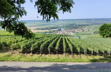 Le Relais de la Bulle Enchantée - Foto 13
