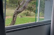 Chalés Recanto da Baleia - Foto 150