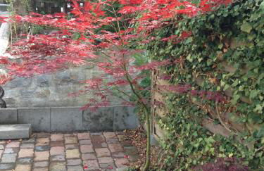 FeWo Dolores - Foto 18