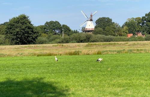 Haus Seerose direkt am Harkebrügger See Neubau! - Foto 25