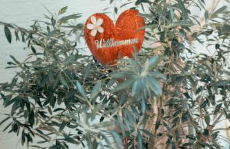 Auszeit im Rheingau - Foto 32