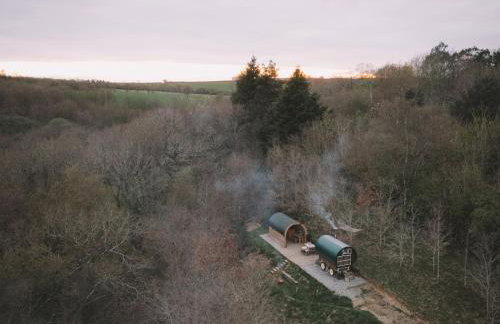 Goldfinch - Photo 21