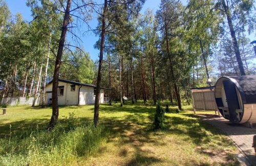 Sosnowa Odnowa - domek na Mazurach z sauną i balią - Foto 7