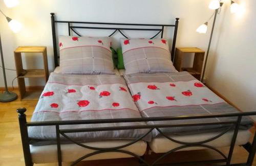 FERIENHAUS Grüne Franziska, perfekt für große Familien & Gruppen, nur 10min vom EuropaPark - Foto 24