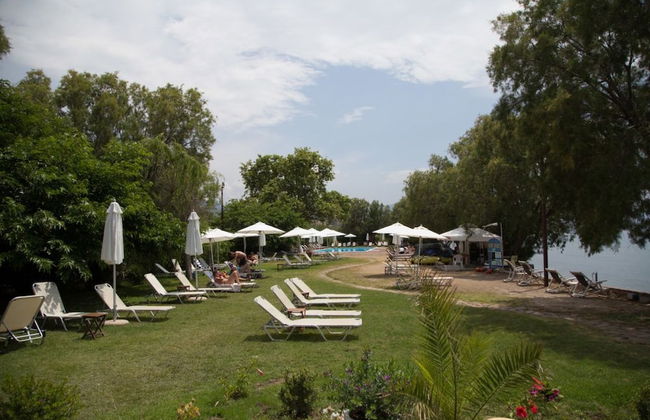 Olive Press Hotel & Apartments - Foto 37