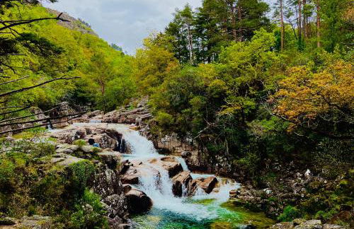 Quinta da Casa dos Santos - Inside Gerês - Foto 42