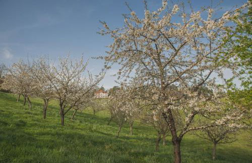 Villa Korum - Foto 30