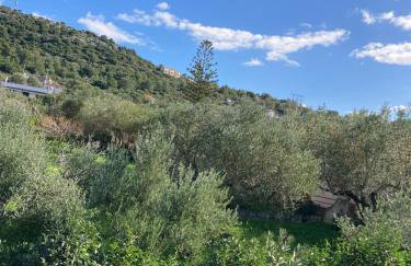 Studios Angeliki - Photo 10