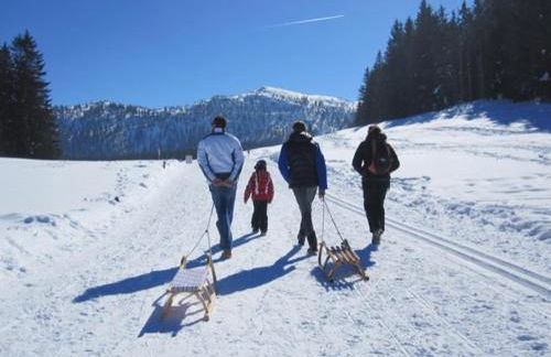Ferienwohnungen Ortner-Hof inkl. Chiemgaukarte - Foto 7
