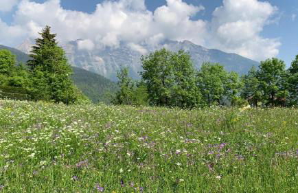 Casa Gnomi - Foto 39