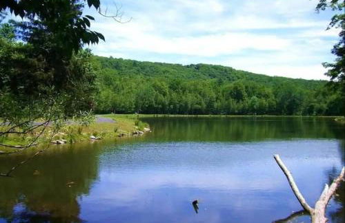 Harmony Hill Stylish 4bd Mountain Retreat, Hot Tub, Games - Foto 56