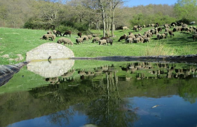 Masseria Salecchia - Photo 46