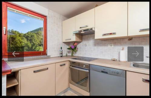 Planinski Raj House with 2 Apartments for 10 Guests - Foto 33
