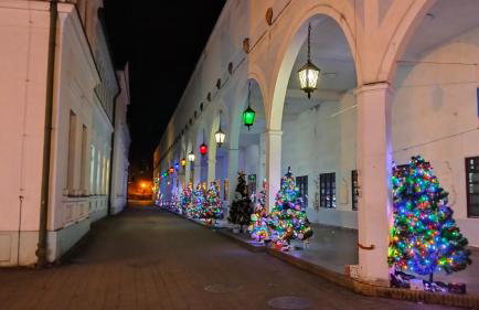 Domek Cichy Zakątek Beskid Niski - Foto 61