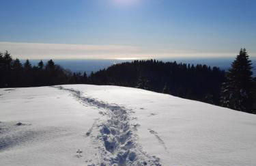 Casa Viola - Foto 25