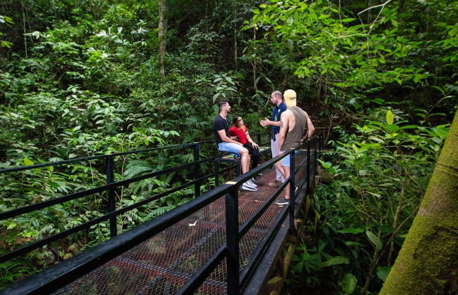 Billet pour le parc d'attraction Rainforest Atlantic - Photo 7