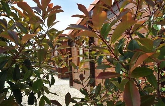 Bungalows Sol e Mar - Foto 9