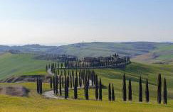 I Due Ciliegi - Foto 57