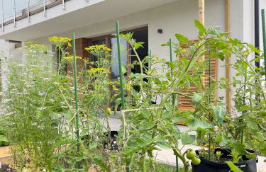 Apartamenty i pokoje nadmorskie - Owocowe Wzgórze - Foto 64