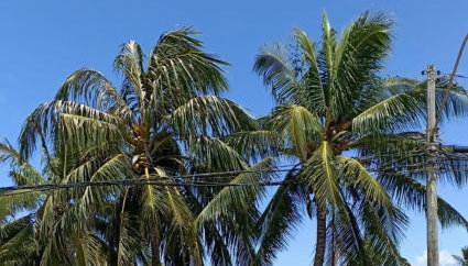 Apartamento aconchegante na praia - Foto 3