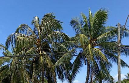 Apartamento aconchegante na praia - Foto 3