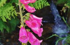 Apartamento Camariñas - Foto 16