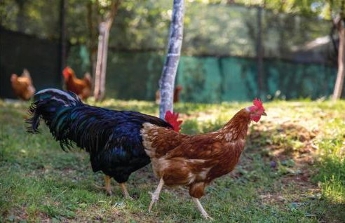 2 Bedroom Awesome Home In Opatija - Foto 19