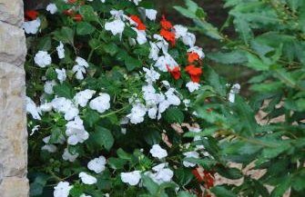 Apartments Barbara - Photo 63