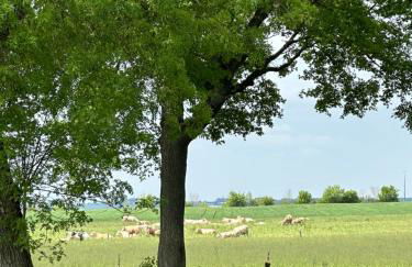 Petit cocon en campagne - Photo 7