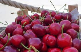 Finca Sa Cova de Mallorca - Foto 73