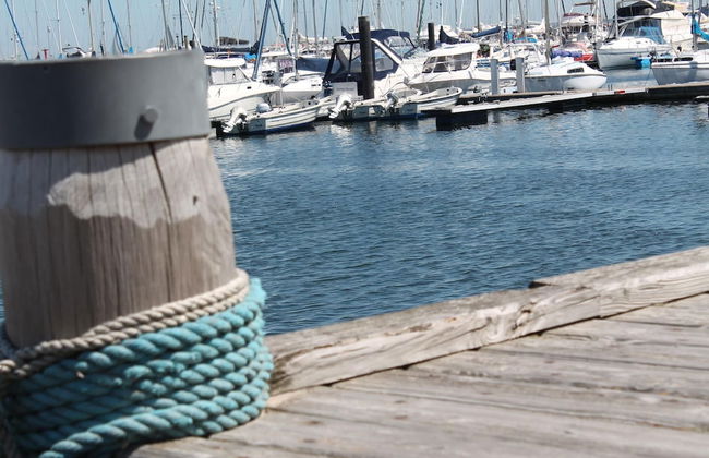 Bungalow mit Gartenterrasse, Borgerende - Foto 14